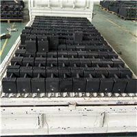 2公斤標(biāo)準(zhǔn)鑄鐵砝碼（2kg-5kg鎖型配重砝碼價格）